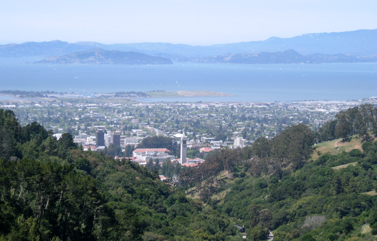 View of SF Bay from Berkeley Fire Trail